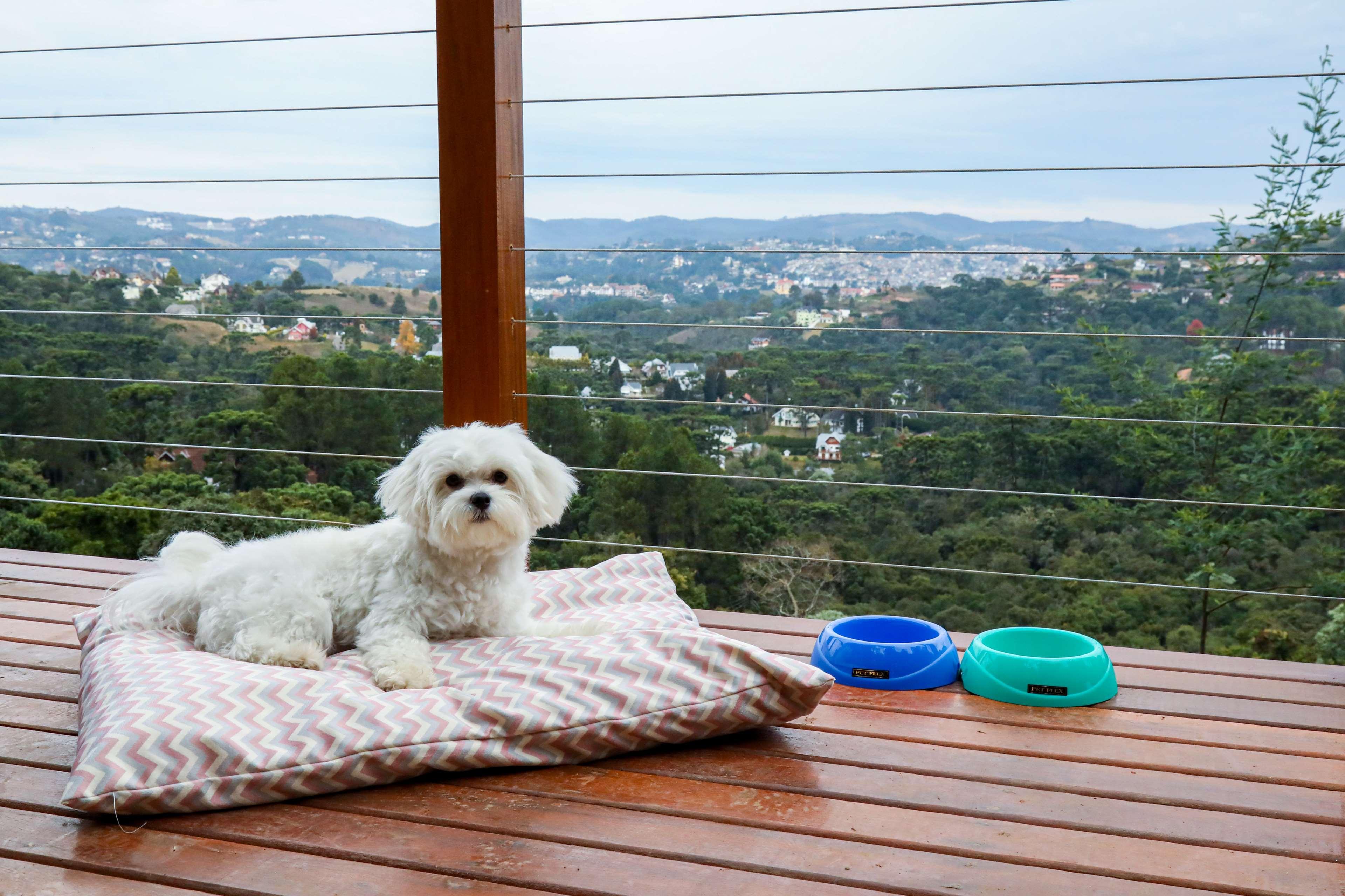 Carpe Diem Boutique E Spa Campos do Jordao Bagian luar foto